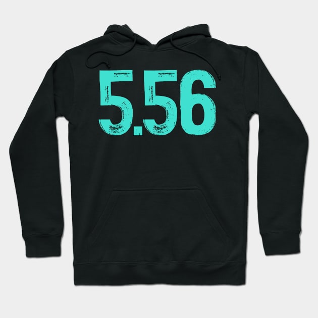 5.56 mm caliber Hoodie by colorsplash